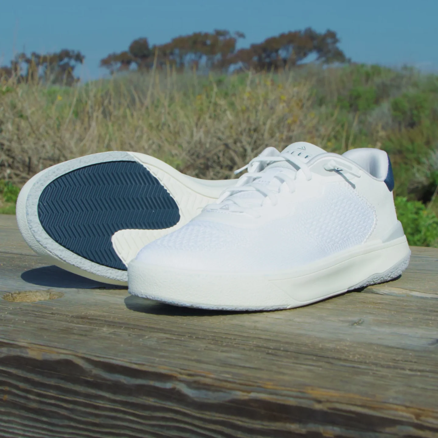 Shoreline Del Mar - Image 2
