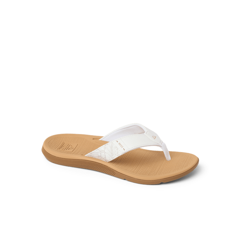 Santa Ana - Image 4