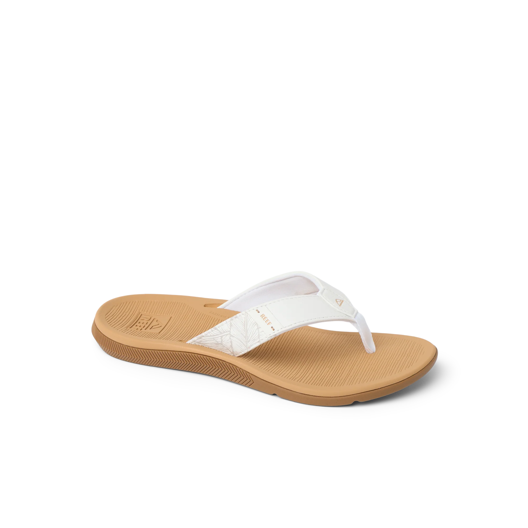 Santa Ana - Image 4