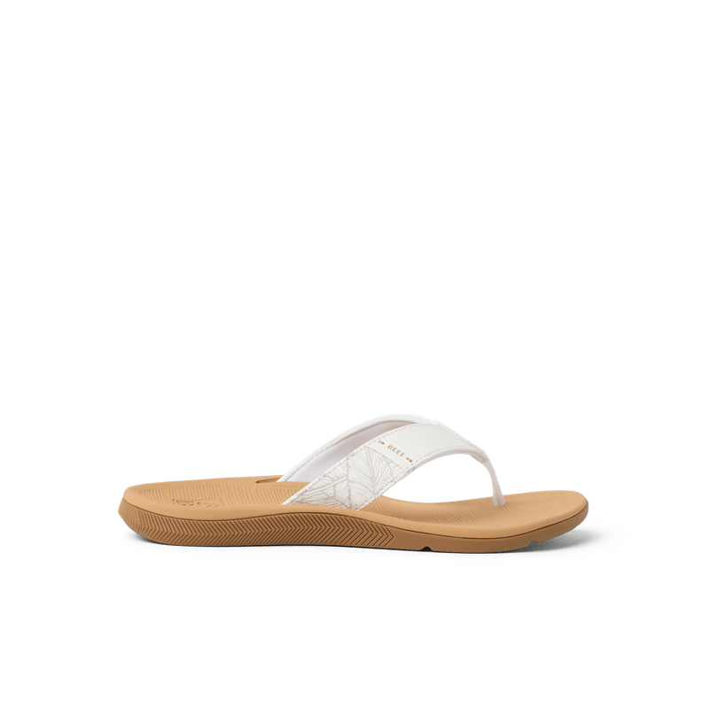 Santa Ana - Image 1