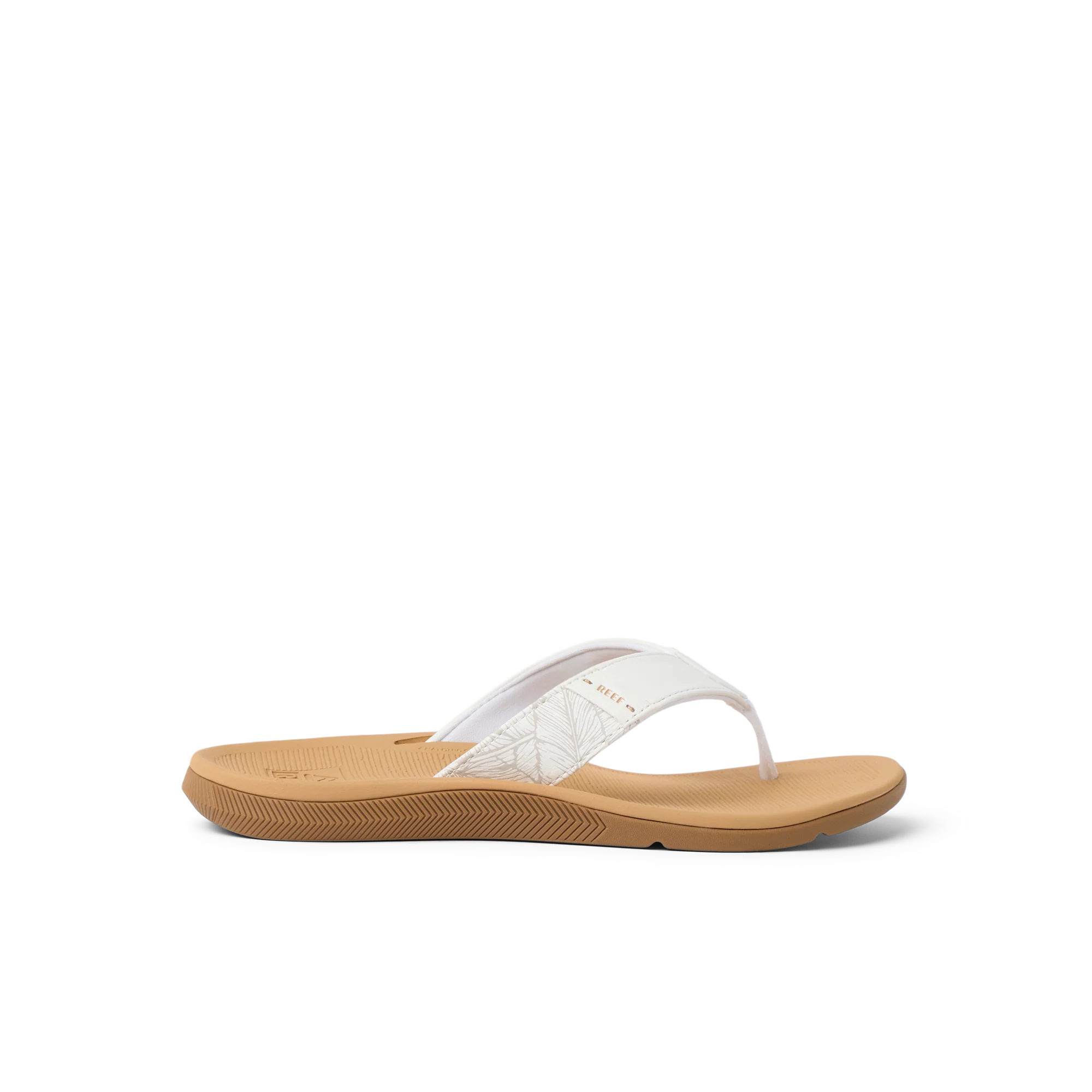 Santa Ana - Image 1