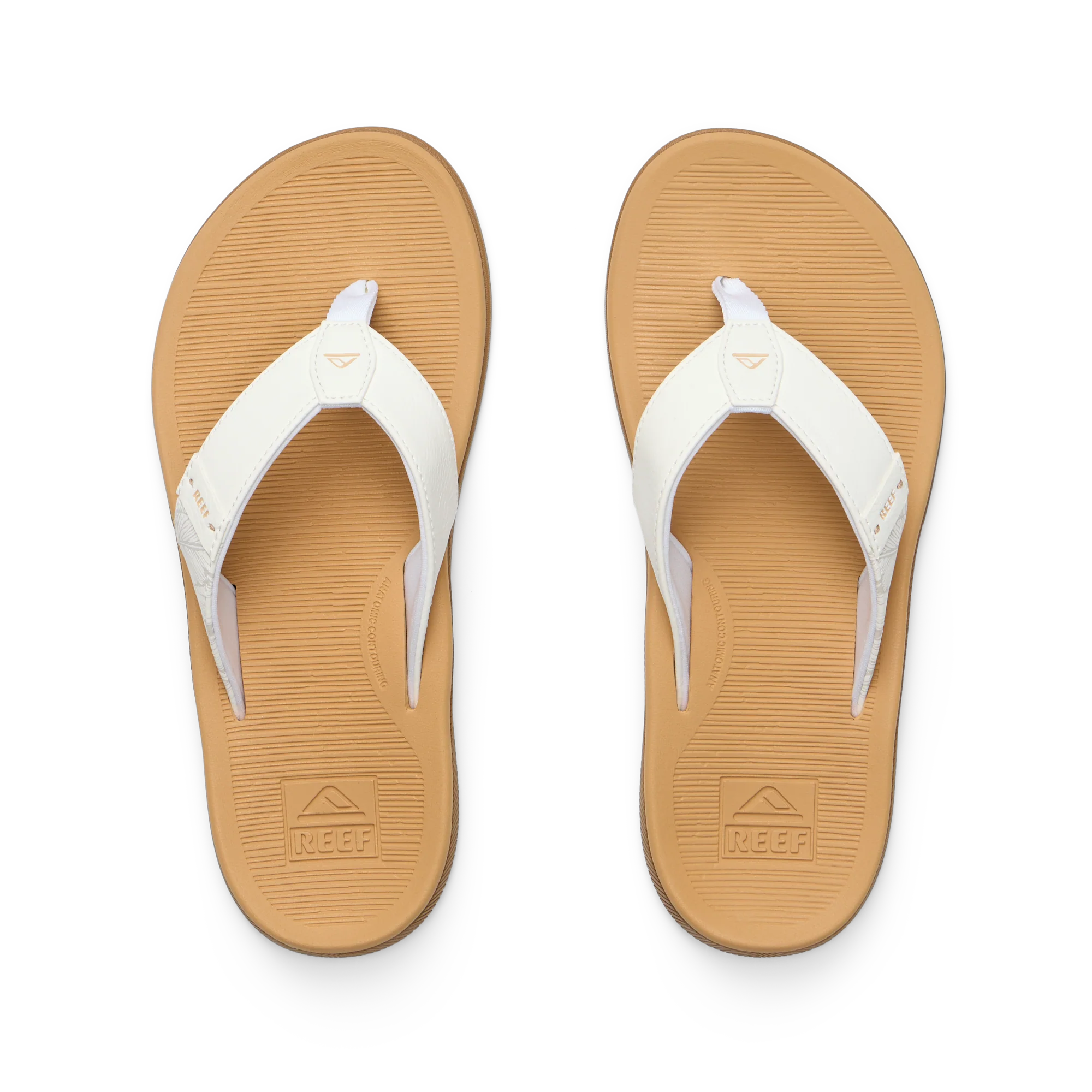 Santa Ana - Image 5