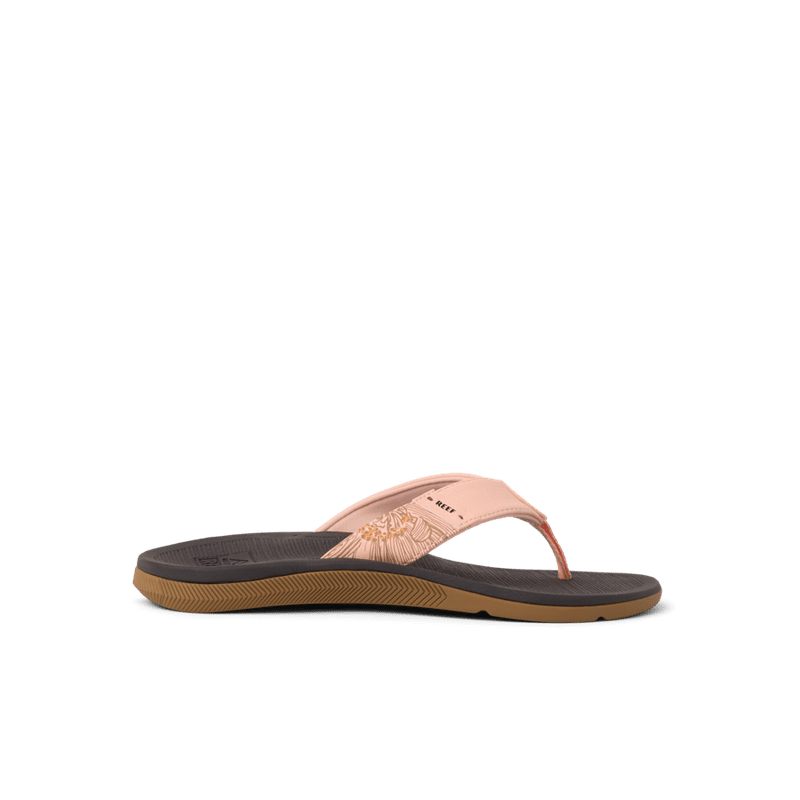 Santa Ana - Image 1