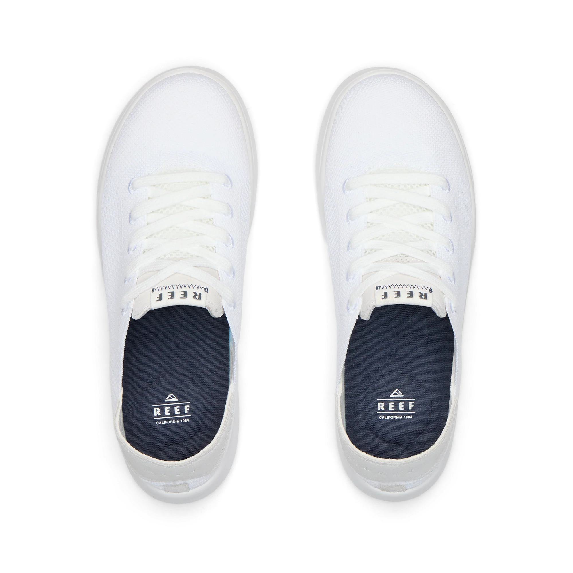Swellsole Neptune - Image 4