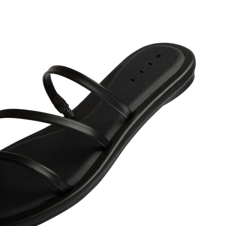 Willow Ava - Image 6