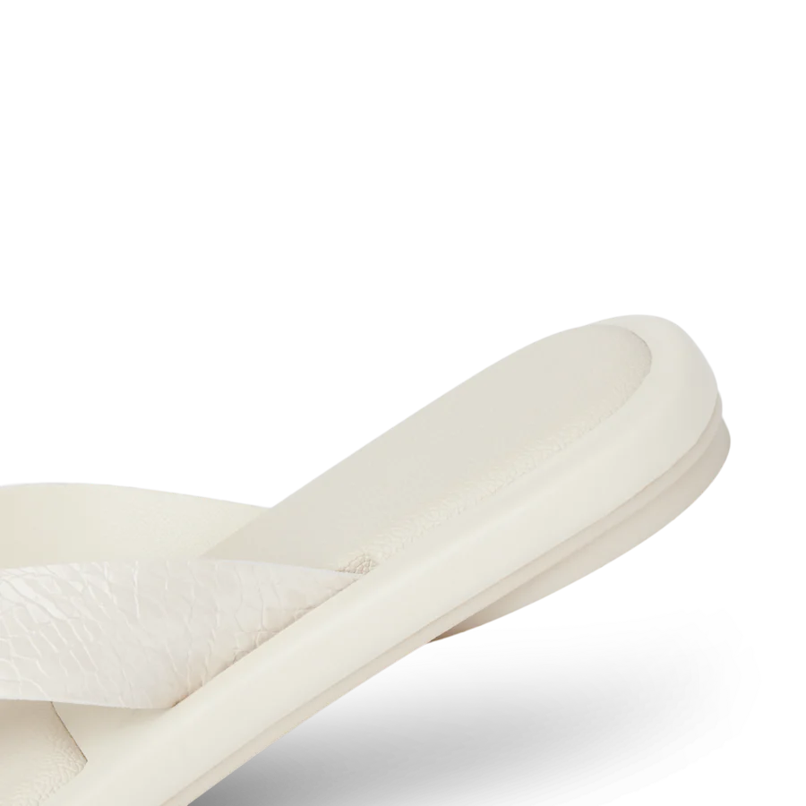 Willow Ella - Image 8