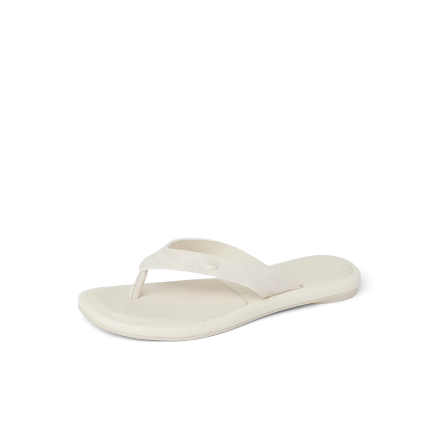 Willow Ella - Image 9