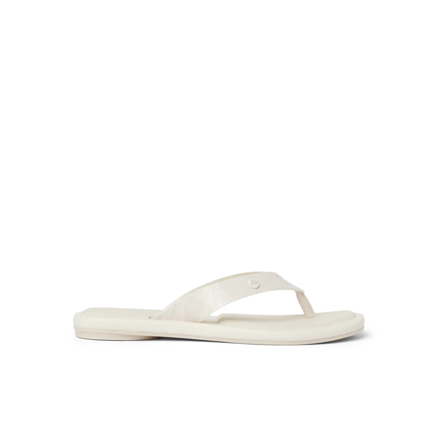 Willow Ella - Image 1