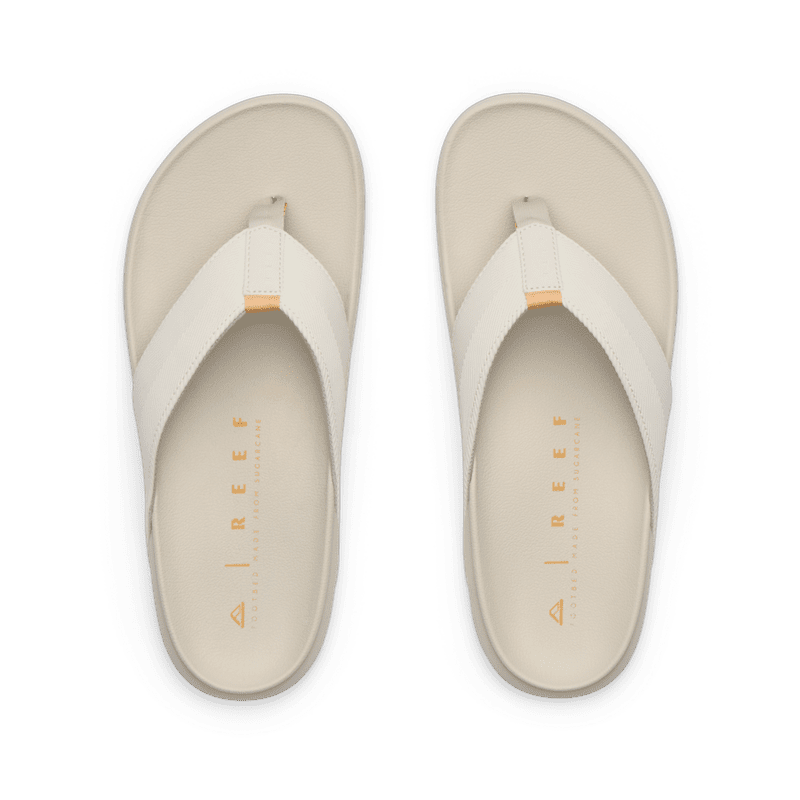The Raglan - Image 3