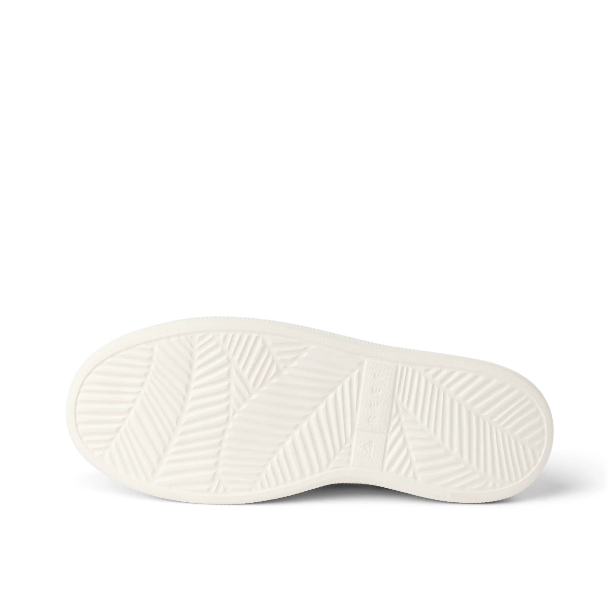 Reef Neptune - Image 4