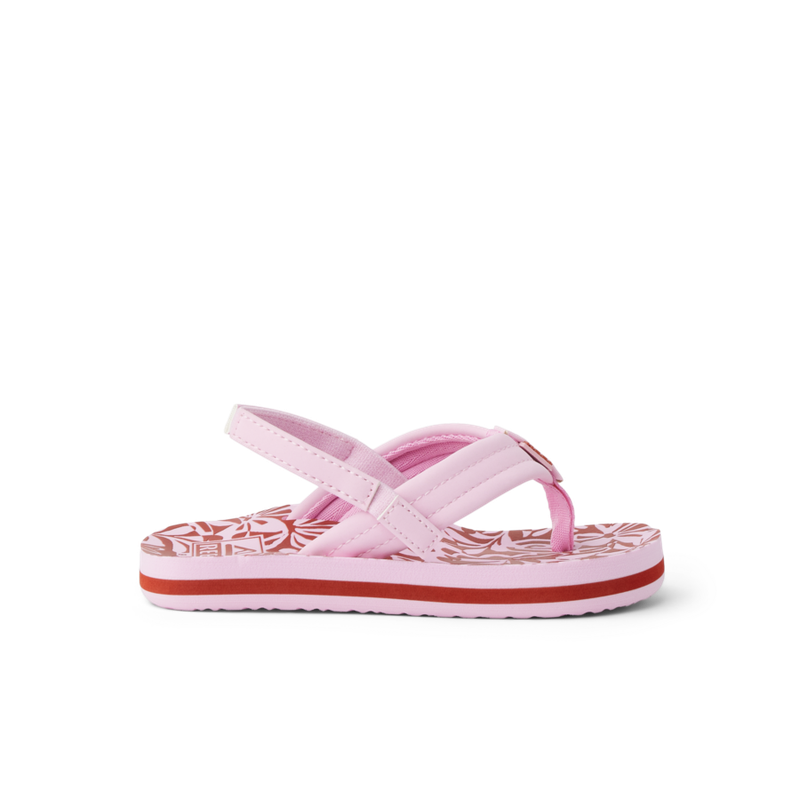Little Ahi - Image 7