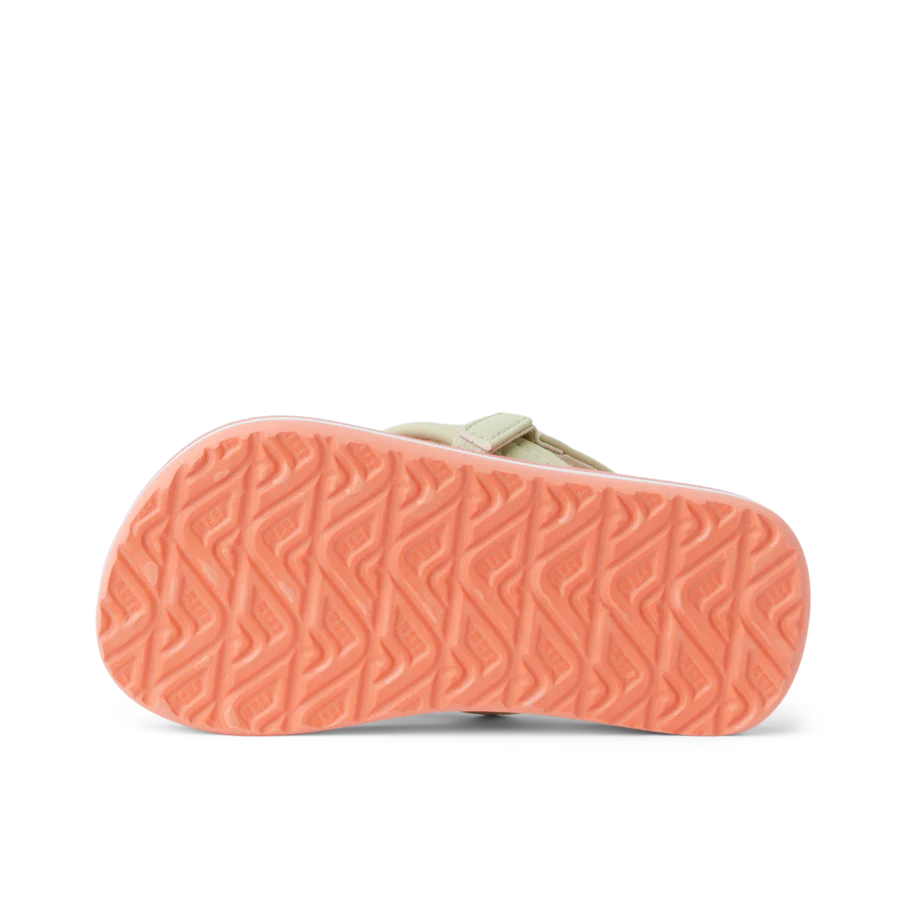 Little Ahi - Image 3