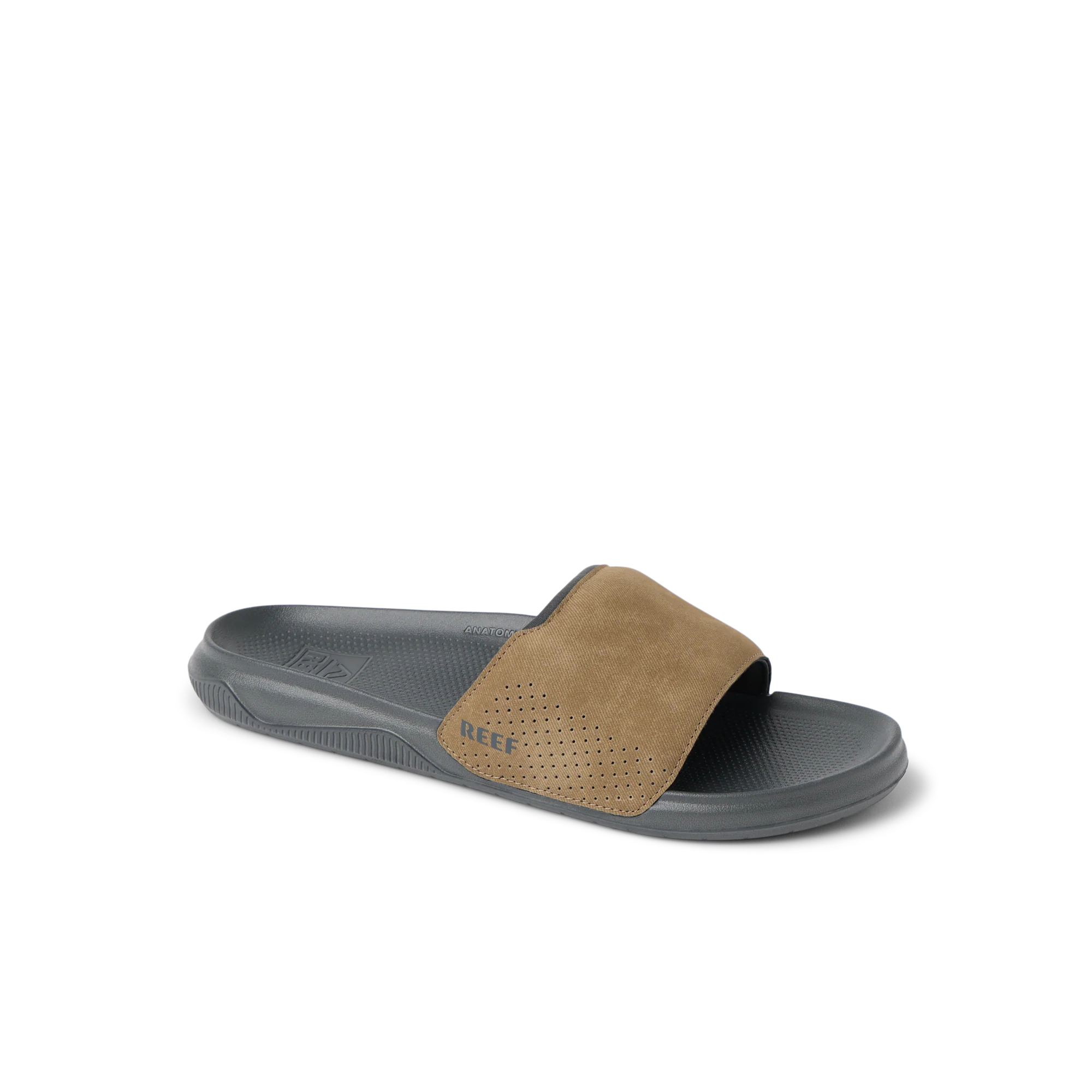 Tailslide - Image 2