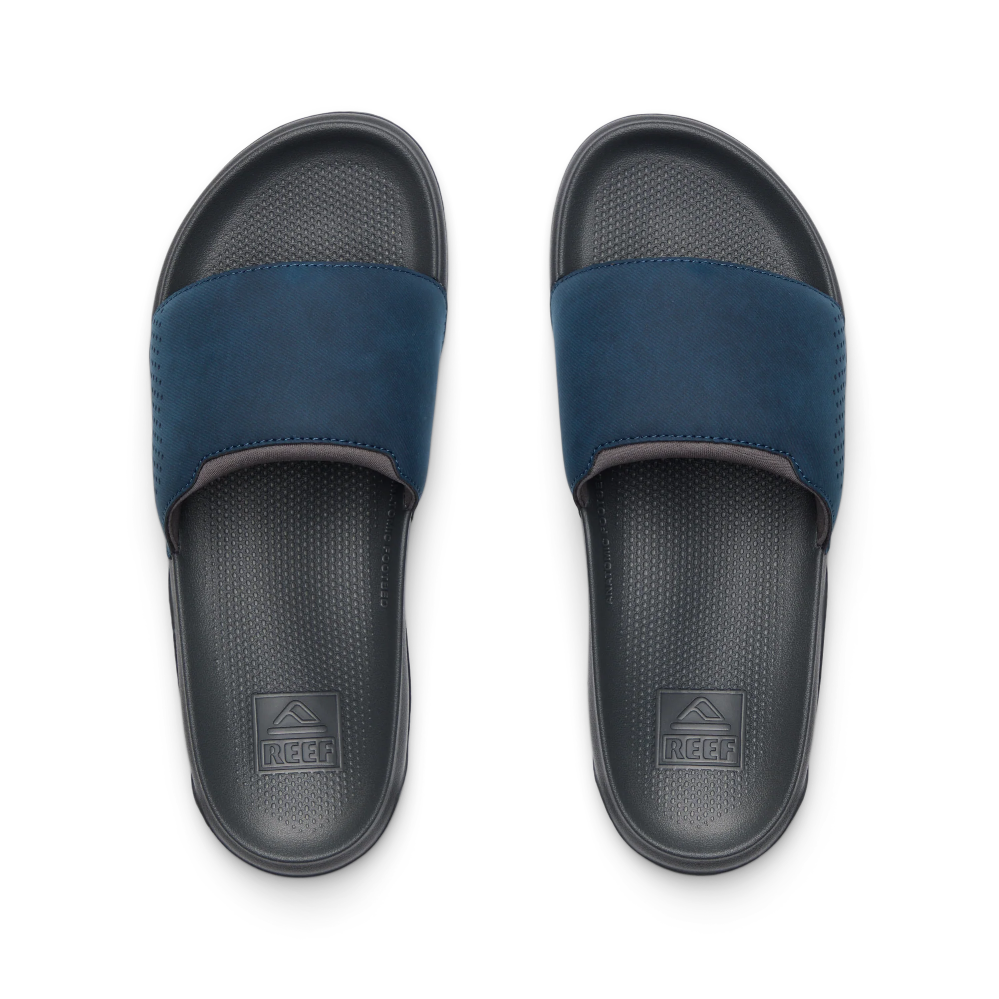 Tailslide - Image 3