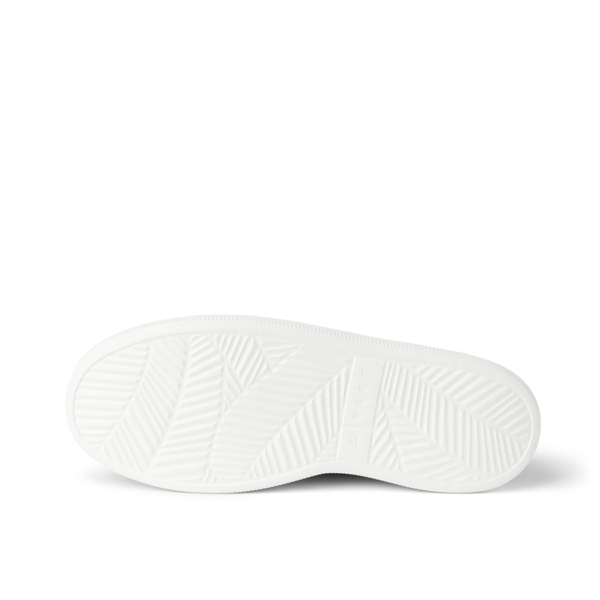 Reef Neptune - Image 4
